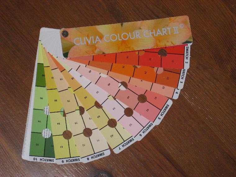 CCC Color Chart II, this image (c) coyright by Shields Gardens Ltd.  All rights reserved.