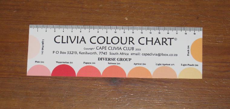 CCC Color Chart I, image (c) copyright by Shields Gardens Ltd.  All rights reserved.