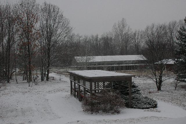 First Snow of the Winter (c) copyright 2009 by Shields Gardens Ltd.  All rights reserved.