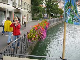 Flowers along the Aare River in Thun (c) copyright 2007 by Shields Gardens Ltd.  All rights reserved.