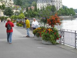 Flowers along the Aare River in Thun (c) copyright 2007 by Shields Gardens Ltd.  All rights reserved.