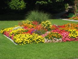 Flower bed at Spiez Castle (c) copyroght 2007 by Shields Gardens Ltd.   All rights reserved.