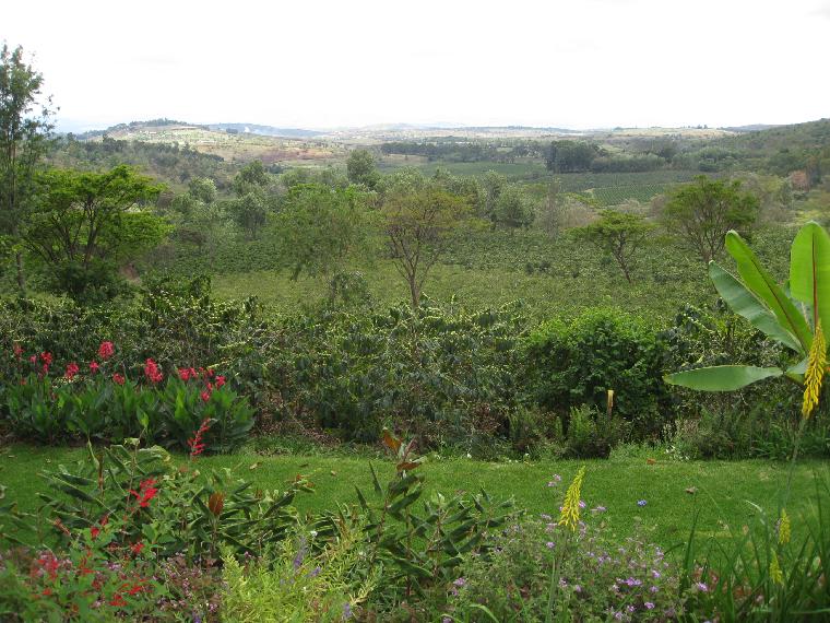 Gibbs Farm, Tanzania, view from the garden.  (c) Copyright 2012 by James E. Shields.  All rights reserved.