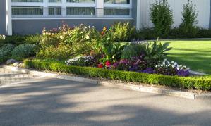 Flower Beds (c) copyright 2007 by Shields Gardens Ltd.  All rights reserved.