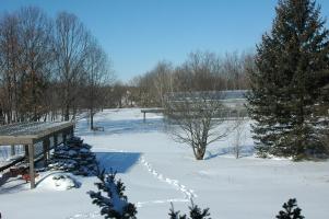 Snowy back yard and the big greenhouse.