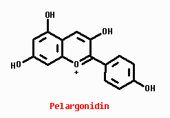 Pelargonidin structure