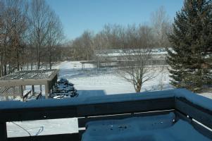 Snow in the Backyard