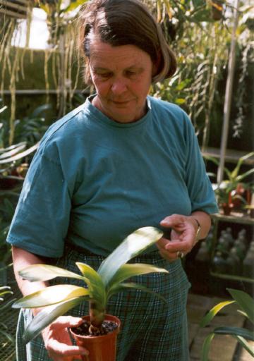 Henriette Stroh, 2002, photo by Aart van Voorst