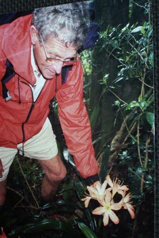 John Winter and the Bearded Man hybrid clivia in bloom.  Photo by Keith Rose.