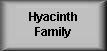 Return to Hyacinth Family Page
