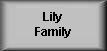 Return to Lily Family page