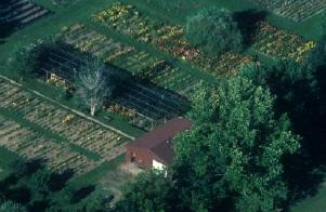 Aerial view #3 of the Gardens