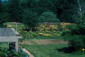 Garden view #2 of the Gardens